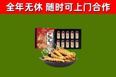 攸县回收冬虫夏草价格